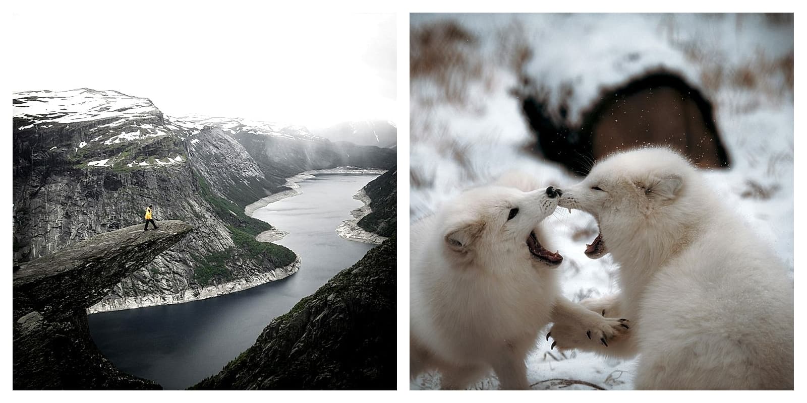 Magazine spread template